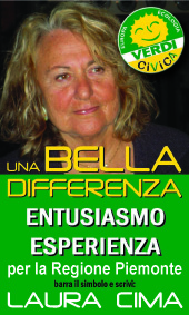 Perchè mi sono candidata
